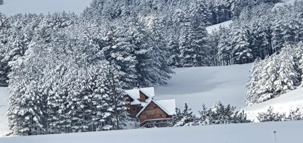 Tornik Studio Zlatibor Kültér fotó